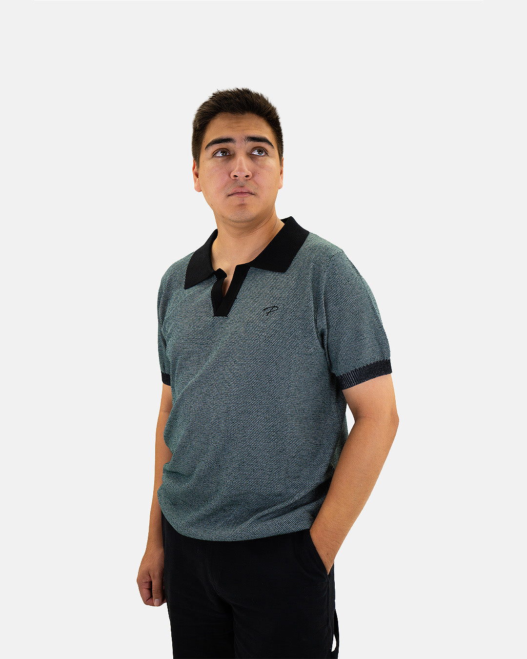 Petersen Museum Knit Polo - Green Johnny Collar
